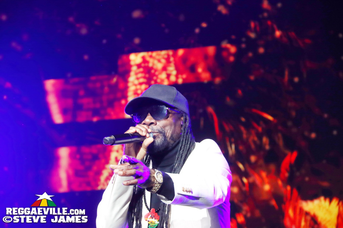 Cedella Marley, Spice, Romain Virgo, Dexta Daps...