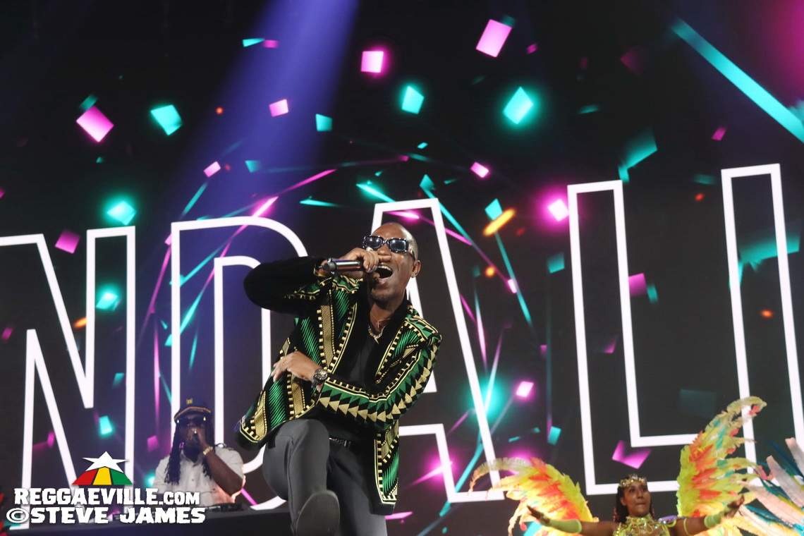 Cedella Marley, Spice, Romain Virgo, Dexta Daps...