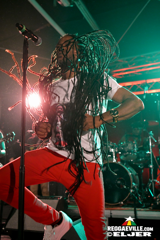 The Congos, The Gladiators