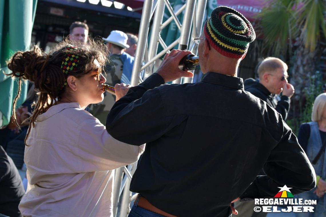 The Congos, The Gladiators