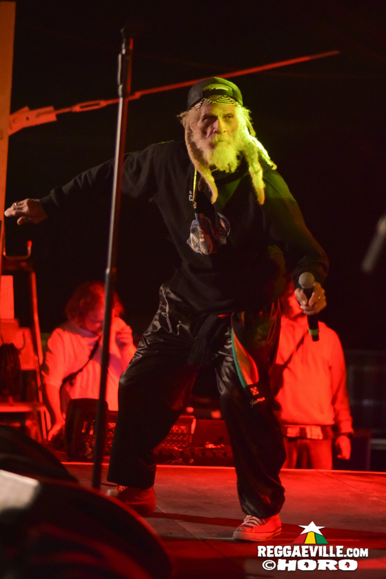 The Congos, The Gladiators