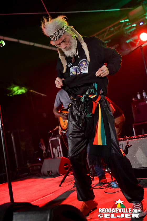 The Congos, The Gladiators