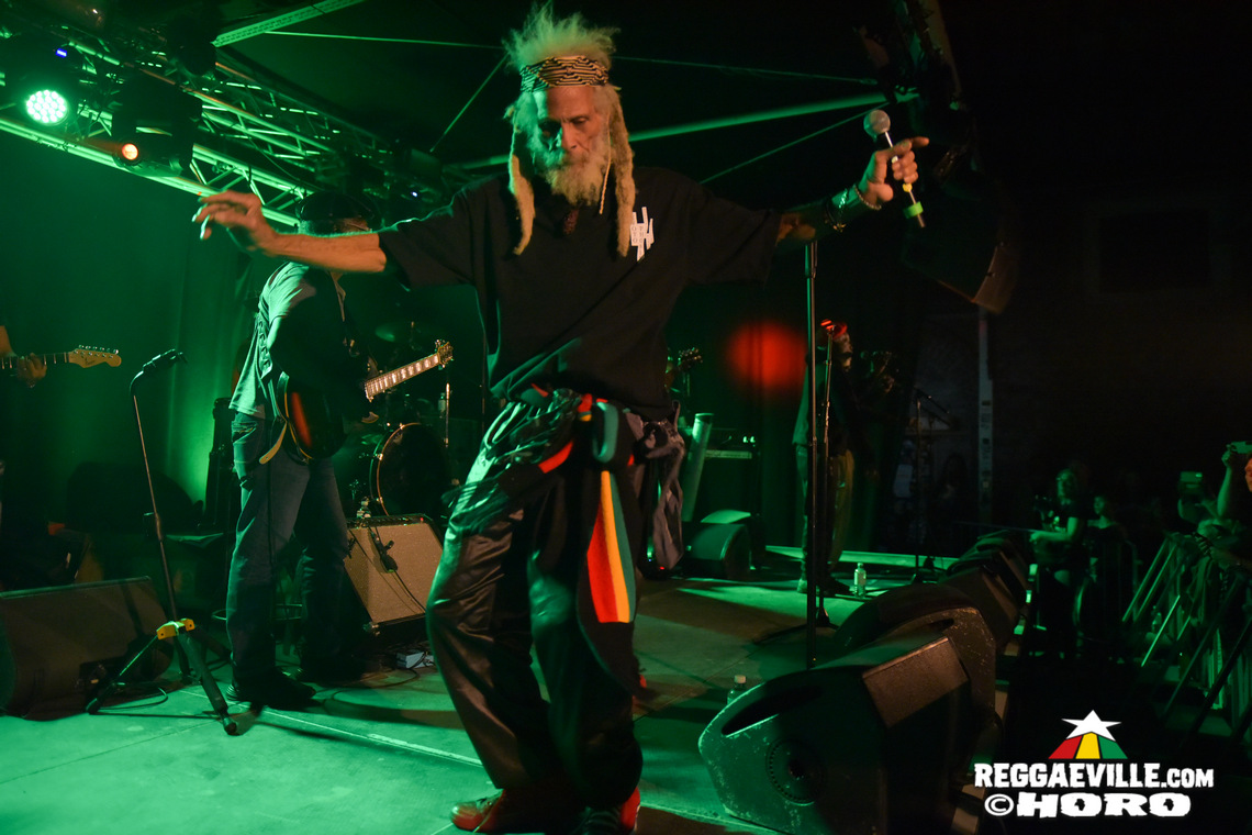 The Congos, The Gladiators