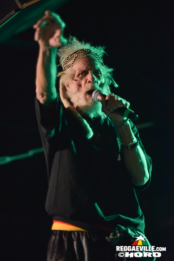 The Congos, The Gladiators