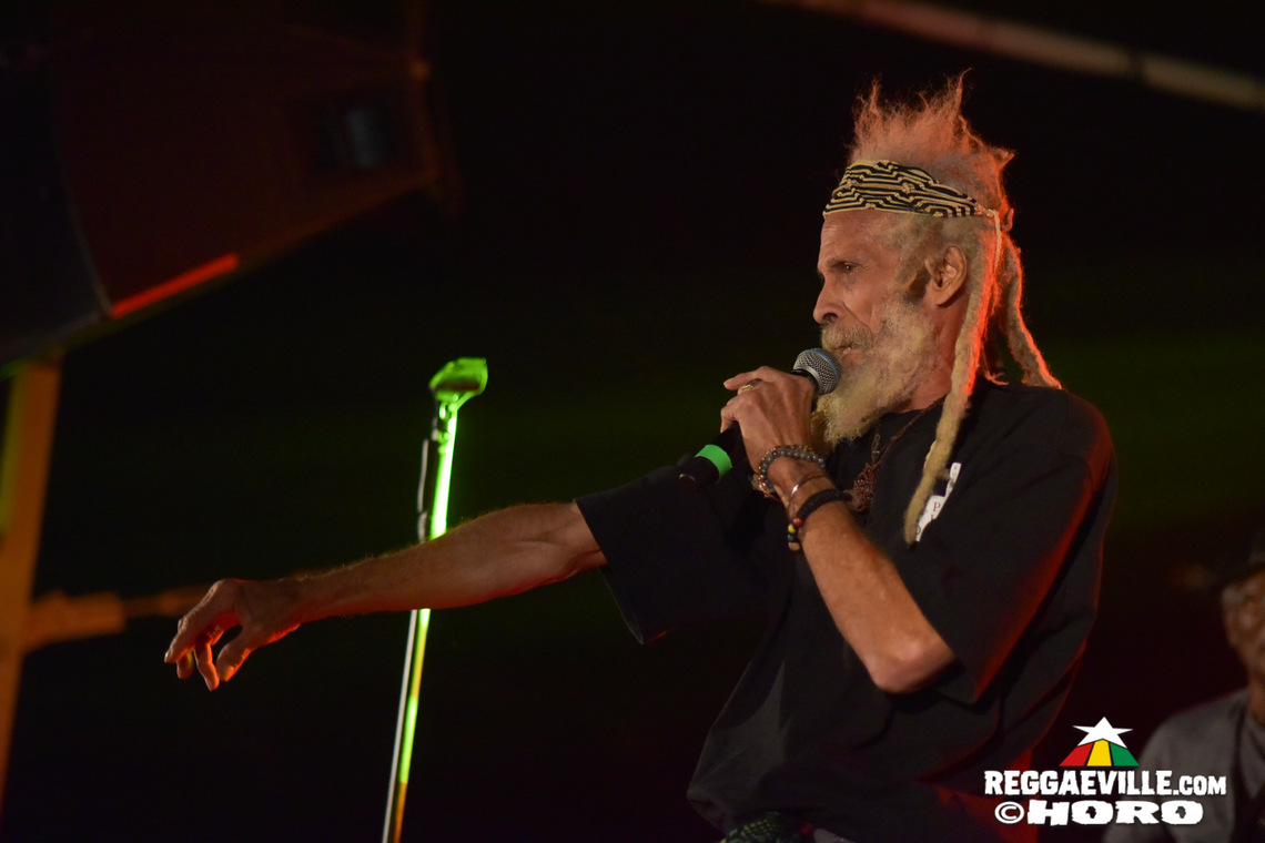 The Congos, The Gladiators