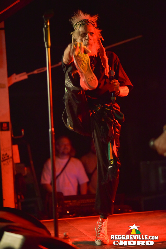 The Congos, The Gladiators