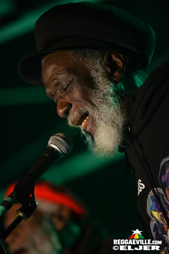 The Congos, The Gladiators