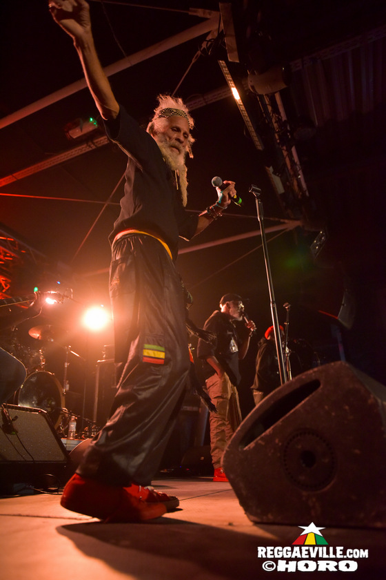 The Congos, The Gladiators