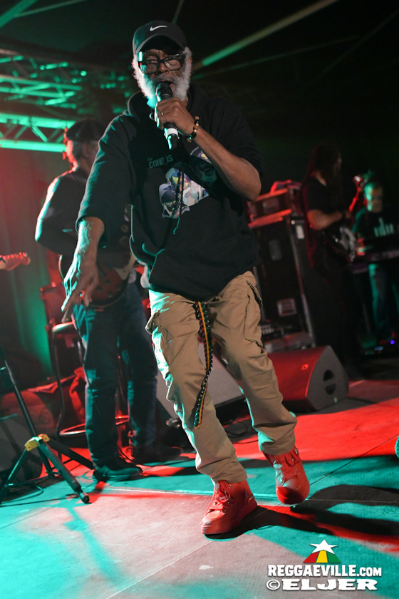 The Congos, The Gladiators