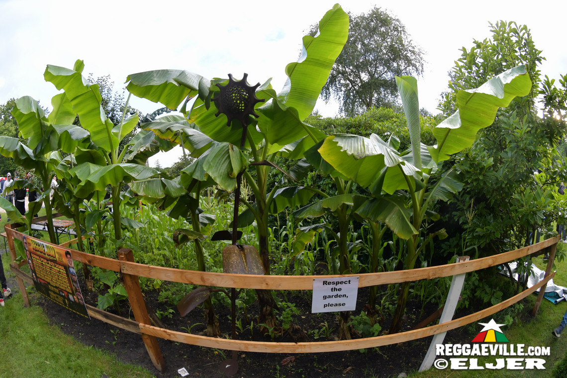 Teacha Dee & Don Tippa, Singing Gold, Mellow Mark, Big Mama Sound