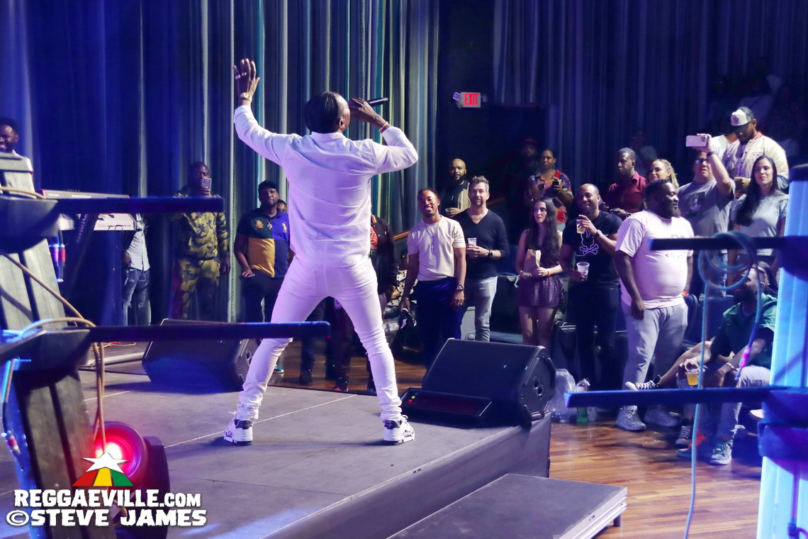 Shaggy, Wyclef Jean, Christopher Martin, Stonebwoy, Jesse Royal, Jahshii, Yohan Marley