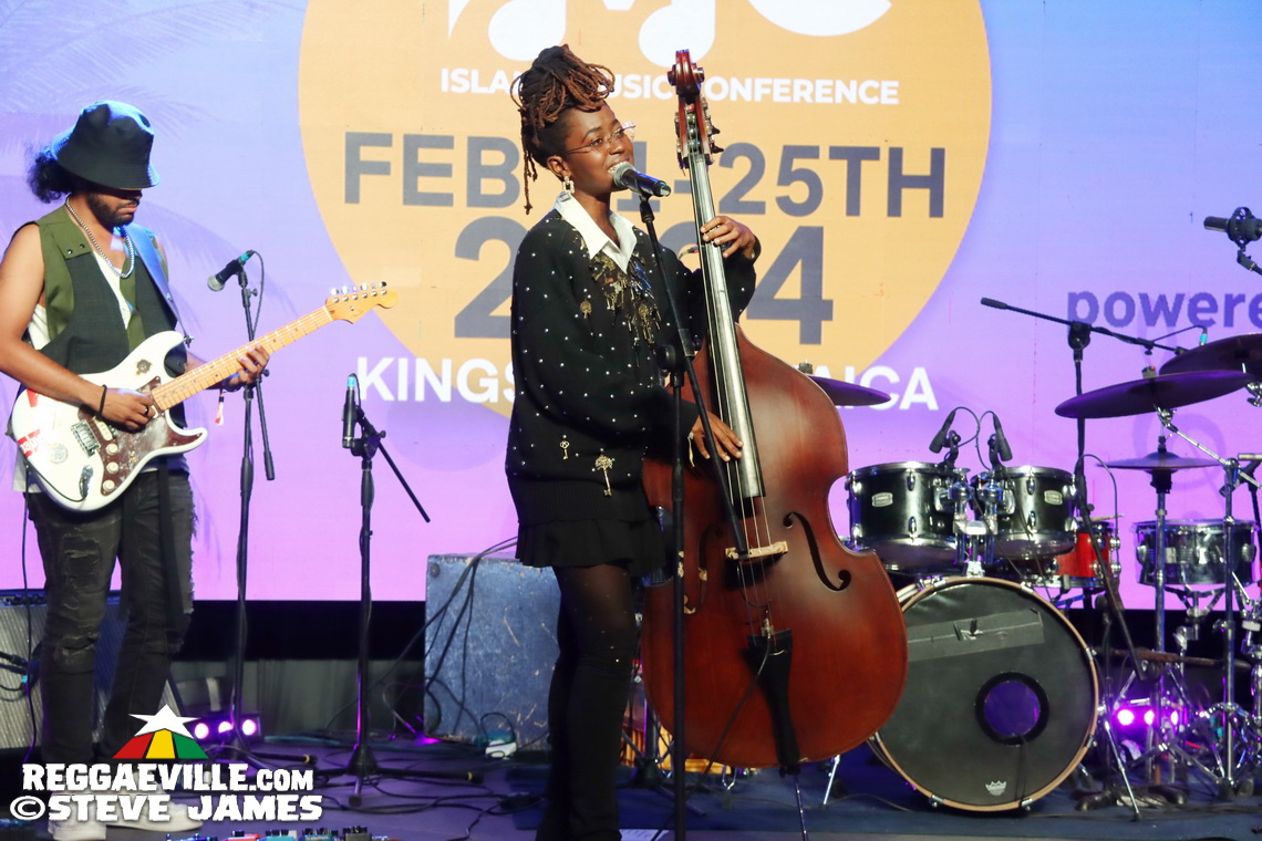 Shaggy, Wyclef Jean, Christopher Martin, Stonebwoy, Jesse Royal, Jahshii, Yohan Marley