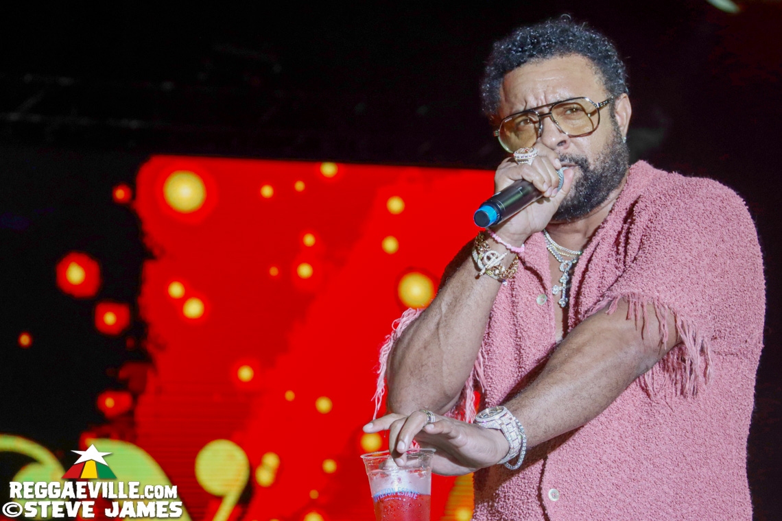 Marcia Griffiths, Buju Banton, Beres Hammond, Busy Signal, Tanya Stephens, Beenie Man, Shaggy