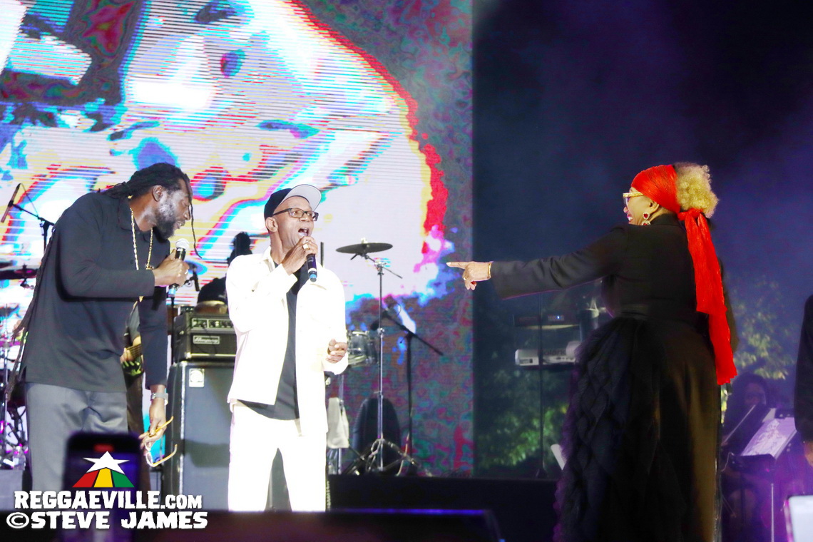 Marcia Griffiths, Buju Banton, Beres Hammond, Busy Signal, Tanya Stephens, Beenie Man, Shaggy