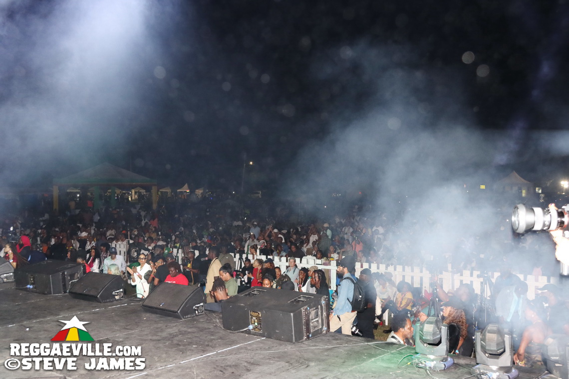 Yellowman, Horace Andy, Linval Thompson, U Brown and more…