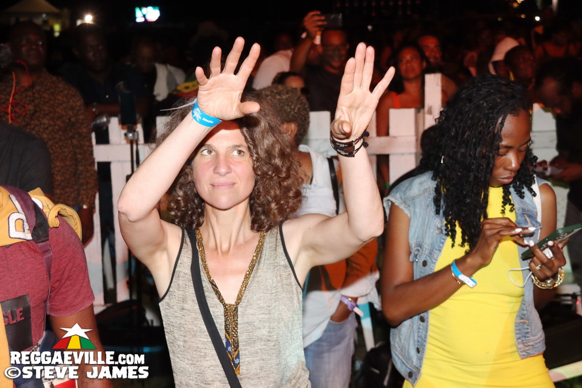 Etana, Leroy Smart, Josey Wales, Peter Metro and more...