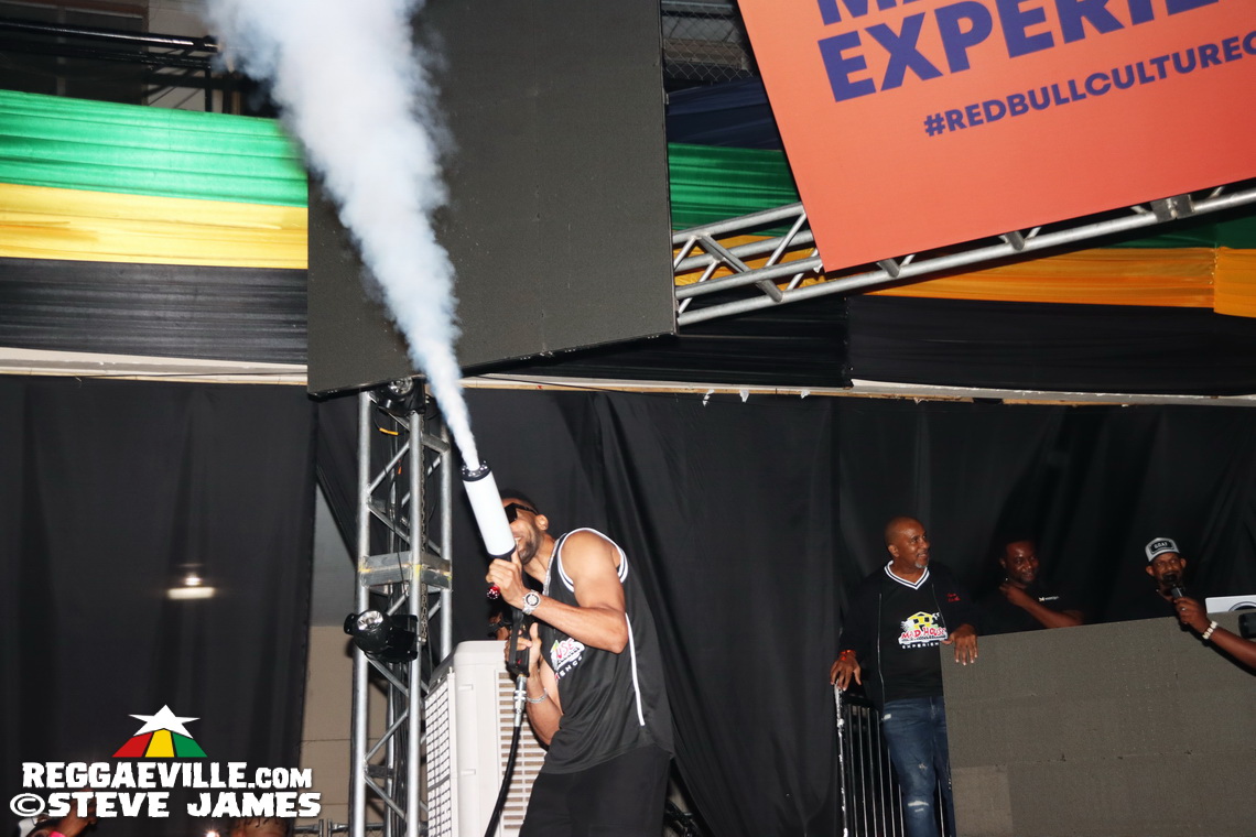 Cham, Bounty Killer, Vybz Kartel...