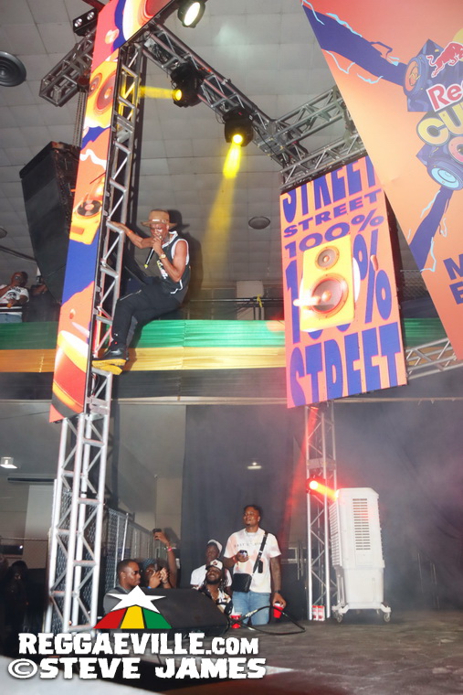 Cham, Bounty Killer, Vybz Kartel...