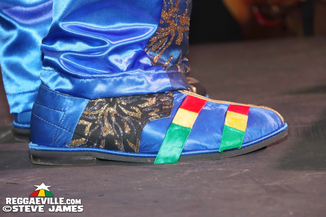 Capleton, Beenie Man, T.O.K, Cham, Ishawna...