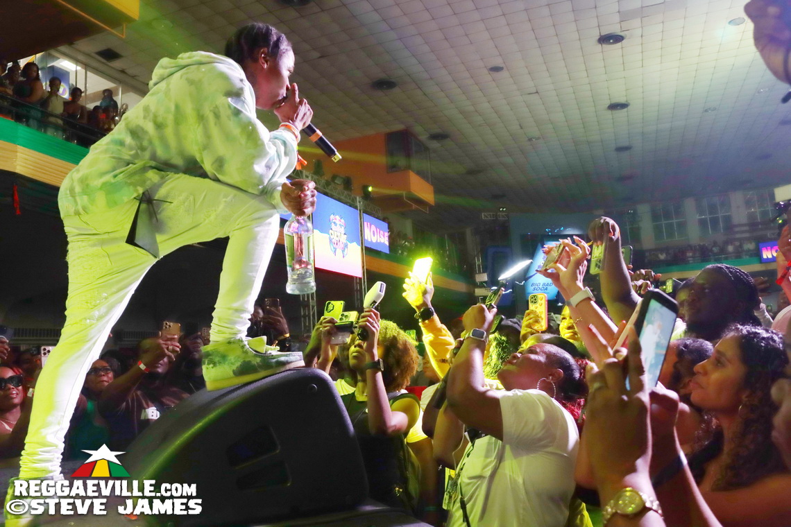 Capleton, Beenie Man, T.O.K, Cham, Ishawna...