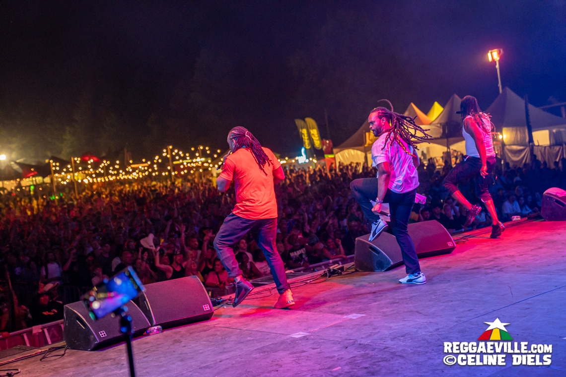 Julian Marley, Postmen, T.O.K, Alborosie with Etana