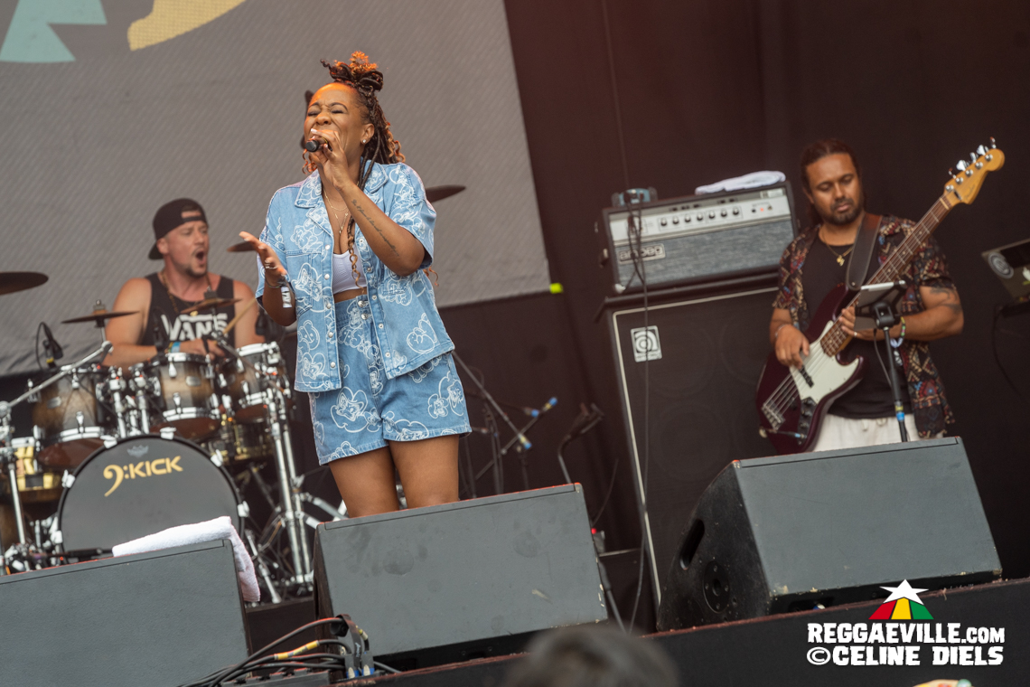 Omar Perry, Jah Lil, Marla Brown, Duane Stephenson