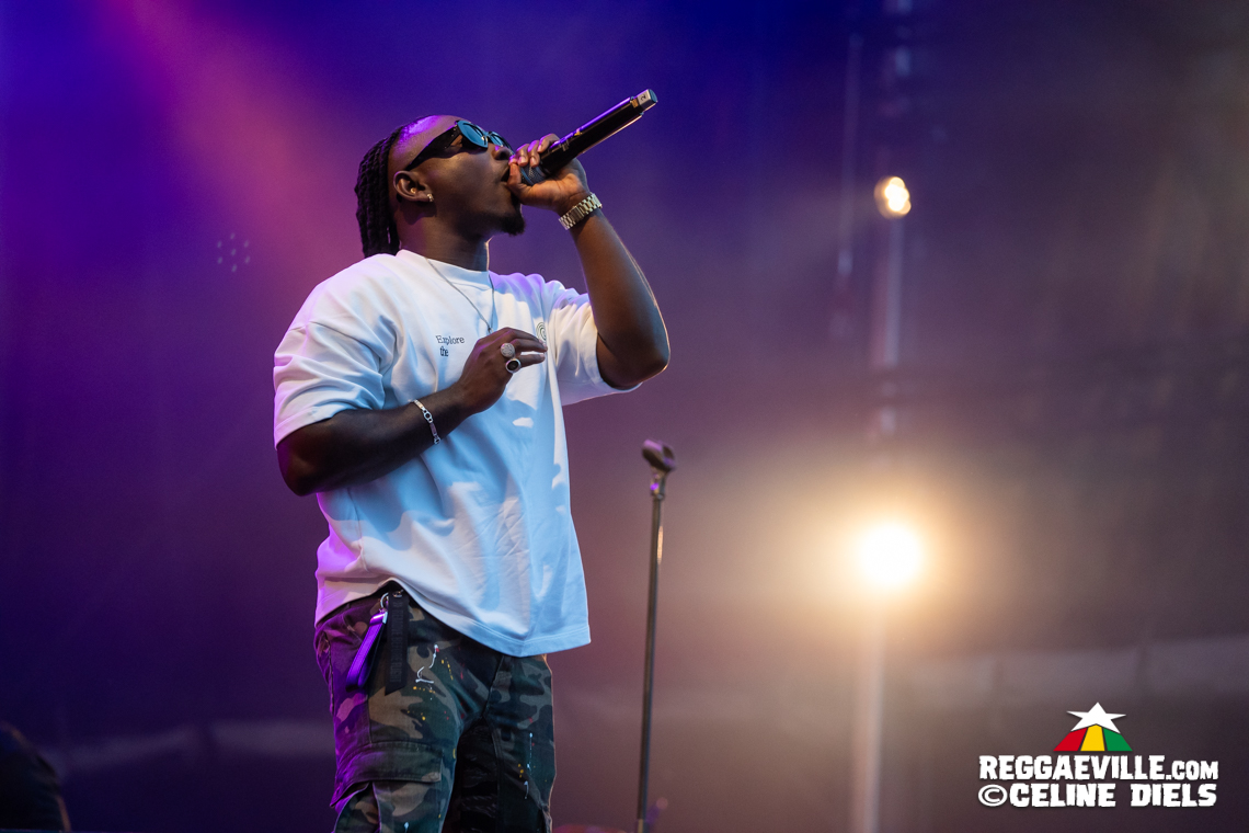 YG Marley, Stonebwoy, Luciano, Christopher Ellis