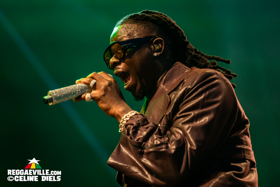 YG Marley, Stonebwoy, Luciano, Christopher Ellis