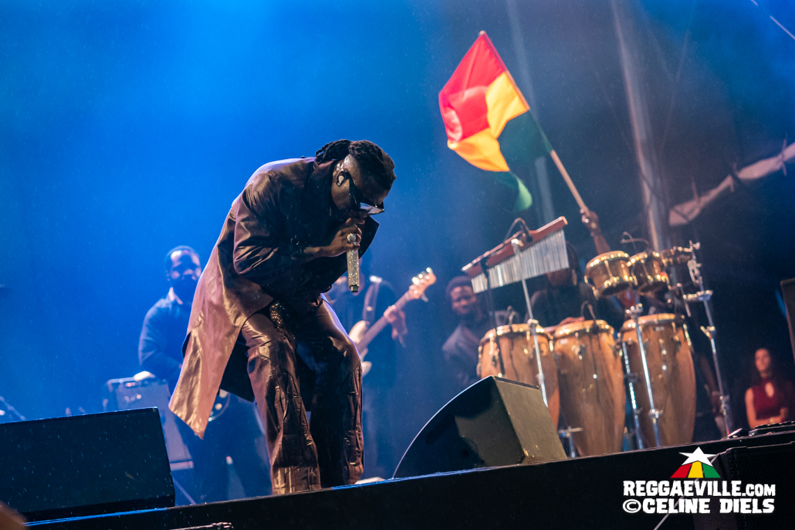 YG Marley, Stonebwoy, Luciano, Christopher Ellis