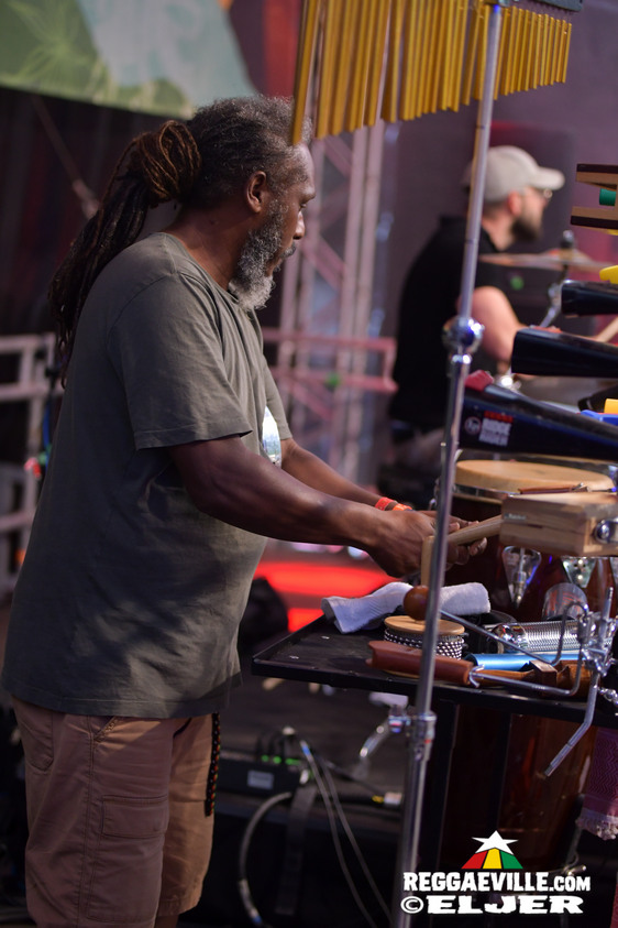 Mystical Faya, Irie Miah, Schwarzpaul, Mellow Mark