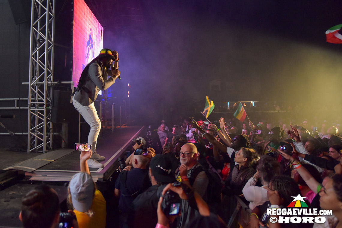 Natty King, House of Riddim 20th Anniversary Cake, Busy Signal