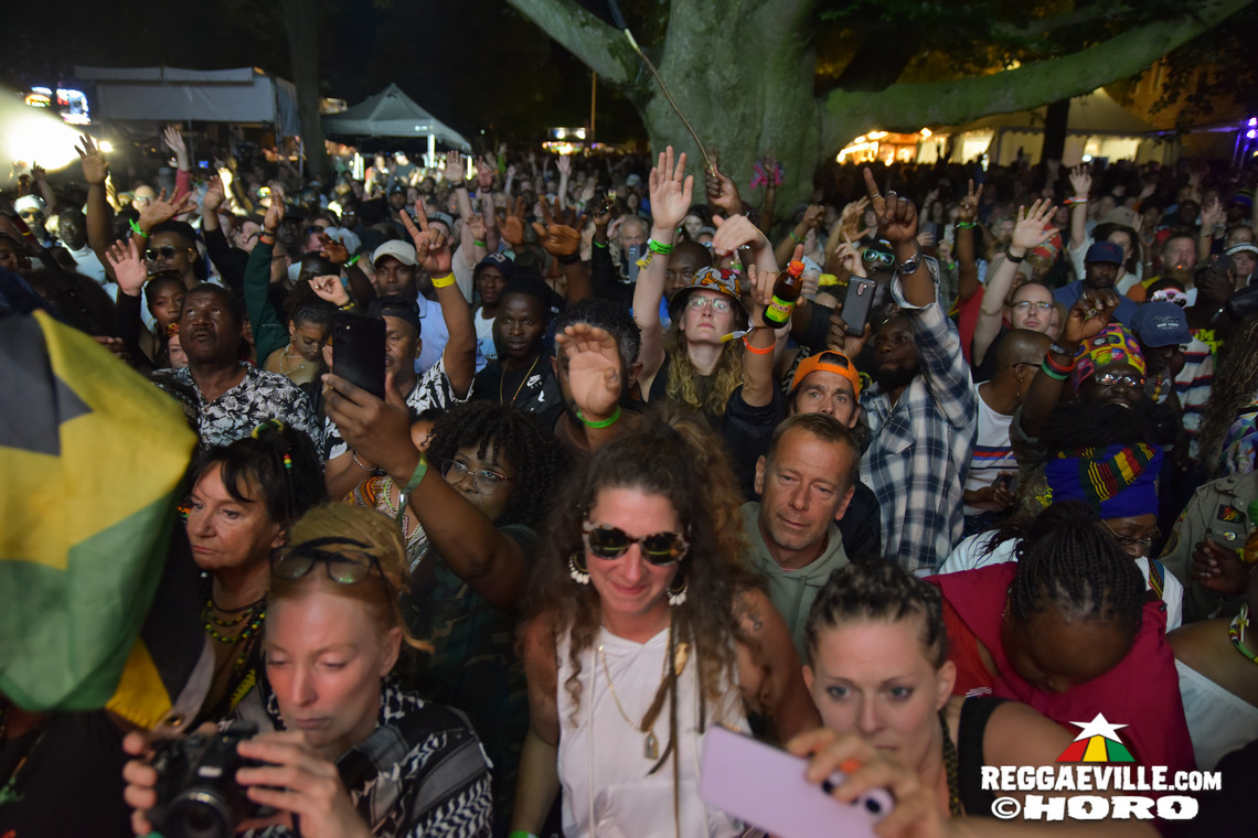 Natty King, House of Riddim 20th Anniversary Cake, Busy Signal