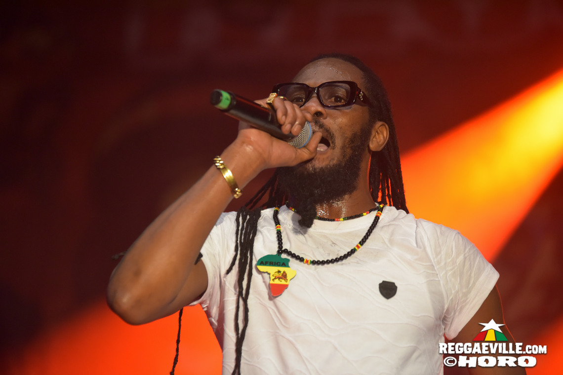 Natty King, House of Riddim 20th Anniversary Cake, Busy Signal