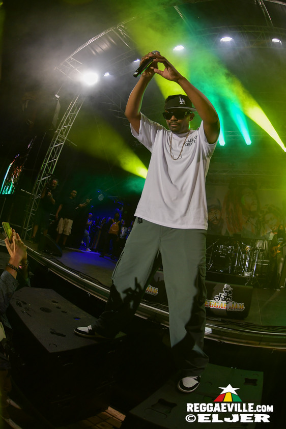 Natty King, House of Riddim 20th Anniversary Cake, Busy Signal