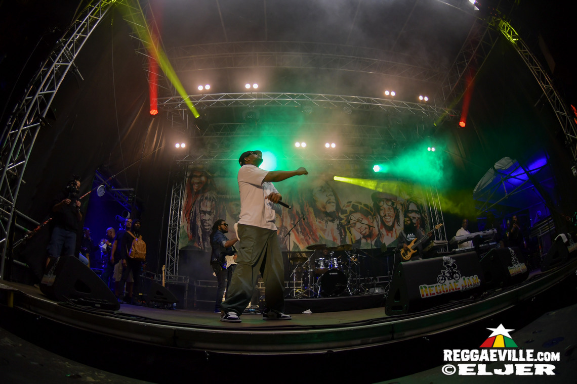 Natty King, House of Riddim 20th Anniversary Cake, Busy Signal