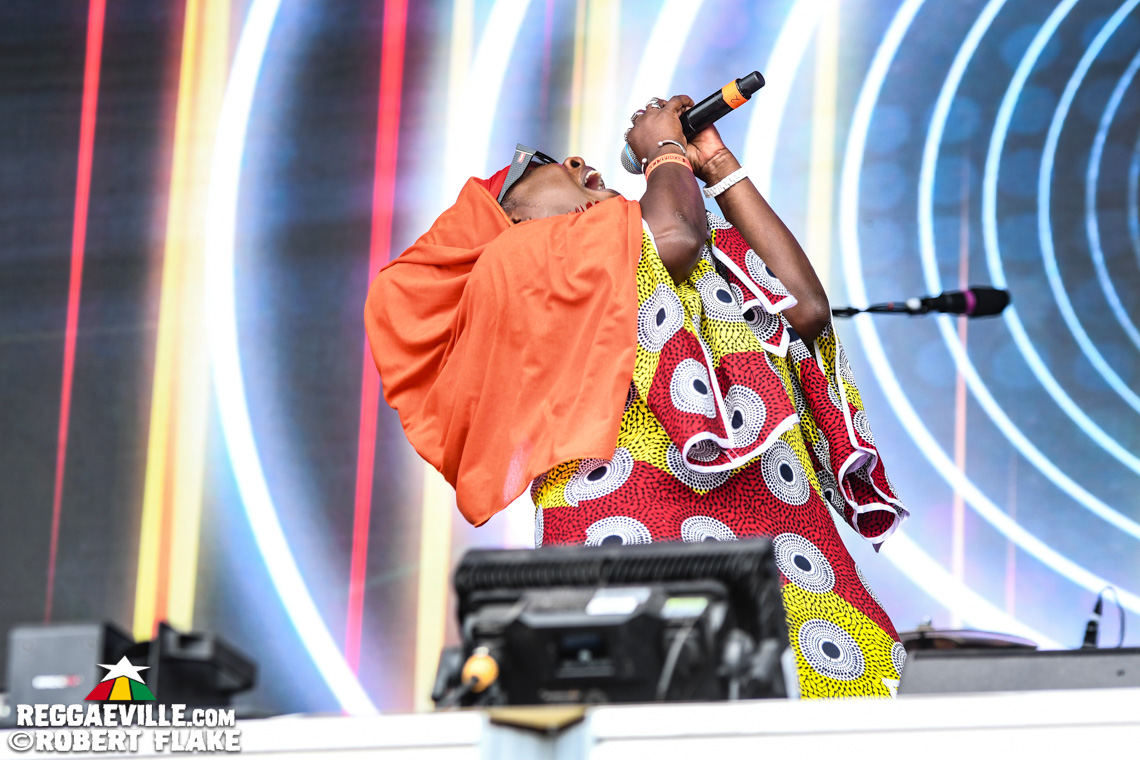 Skip Marley, Maxi Priest, Queen Omega, David Rodigan, The Dualers