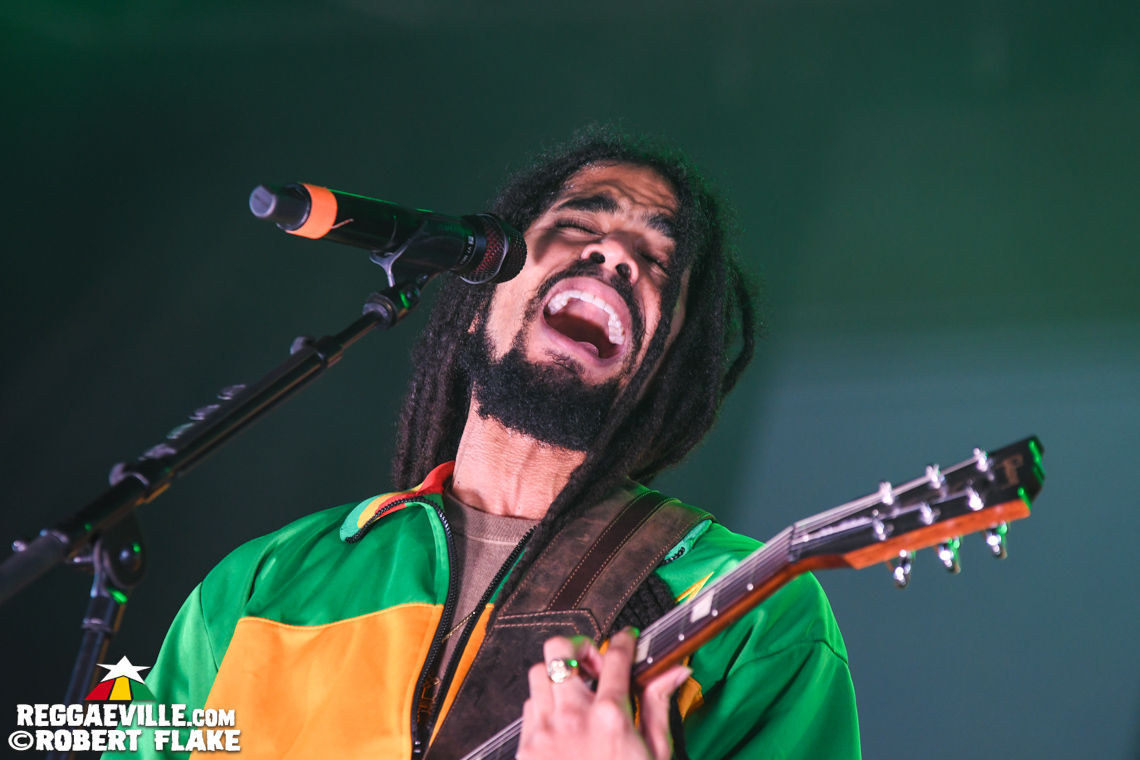 Skip Marley, Maxi Priest, Queen Omega, David Rodigan, The Dualers