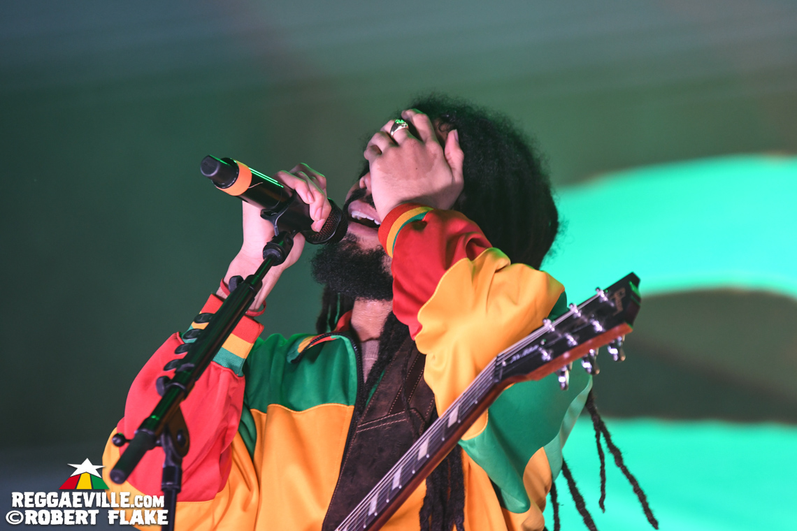 Skip Marley, Maxi Priest, Queen Omega, David Rodigan, The Dualers