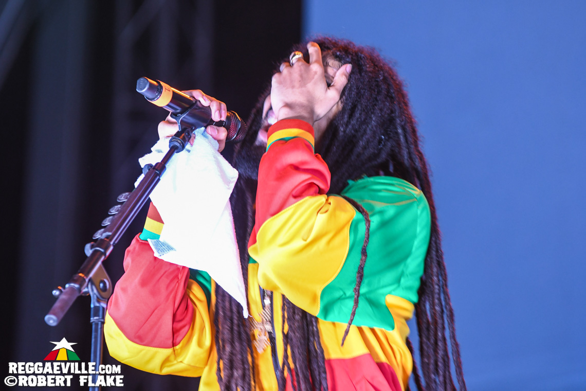 Skip Marley, Maxi Priest, Queen Omega, David Rodigan, The Dualers