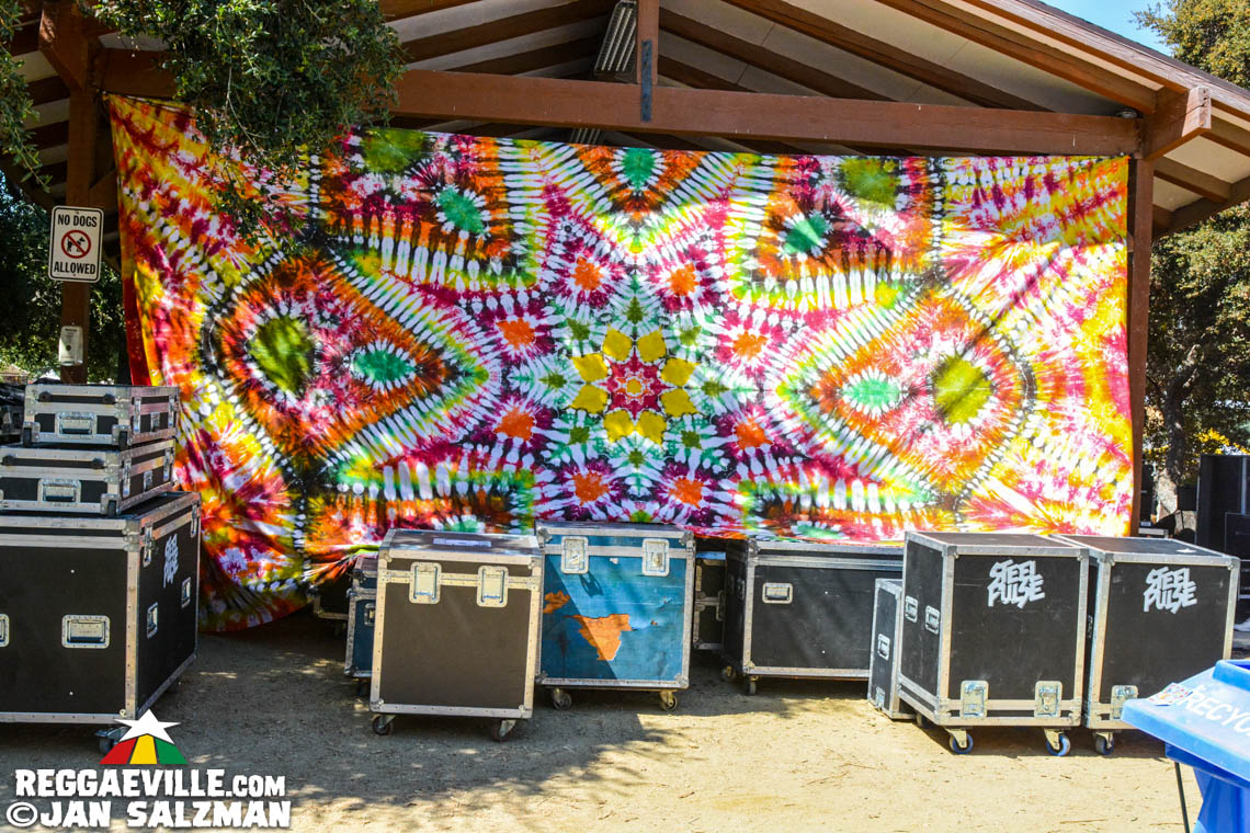 Steel Pulse, Don Carlos