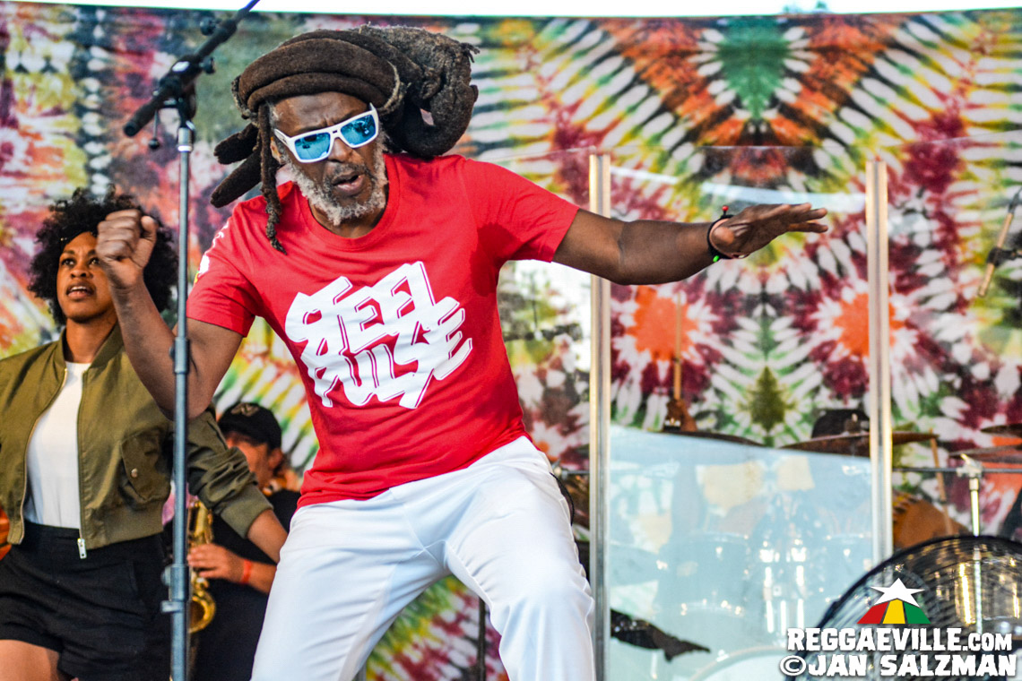 Steel Pulse, Don Carlos