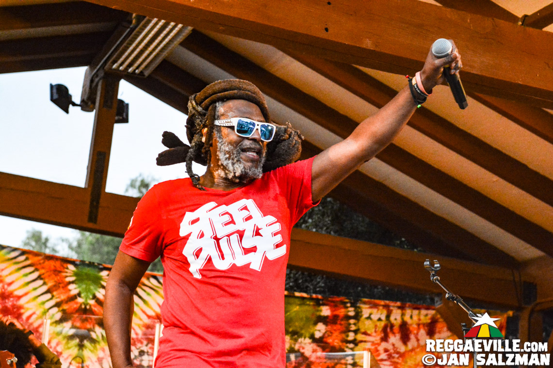 Steel Pulse, Don Carlos