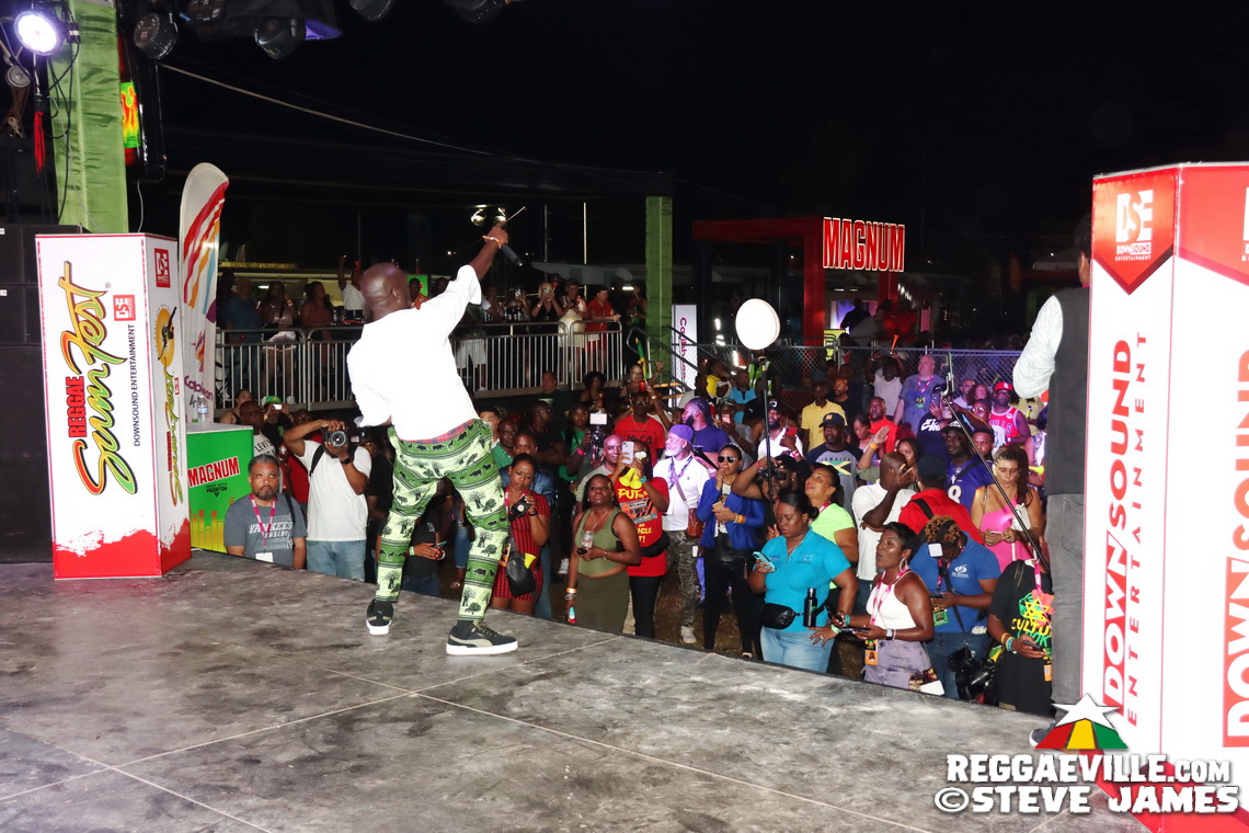 Dynamq Sound, Bodyguard Sound, Warrior Sound, Notorious Sound