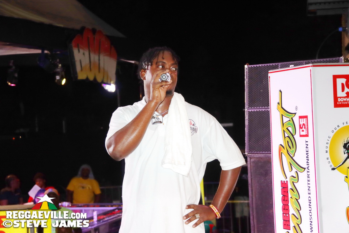 Dynamq Sound, Bodyguard Sound, Warrior Sound, Notorious Sound