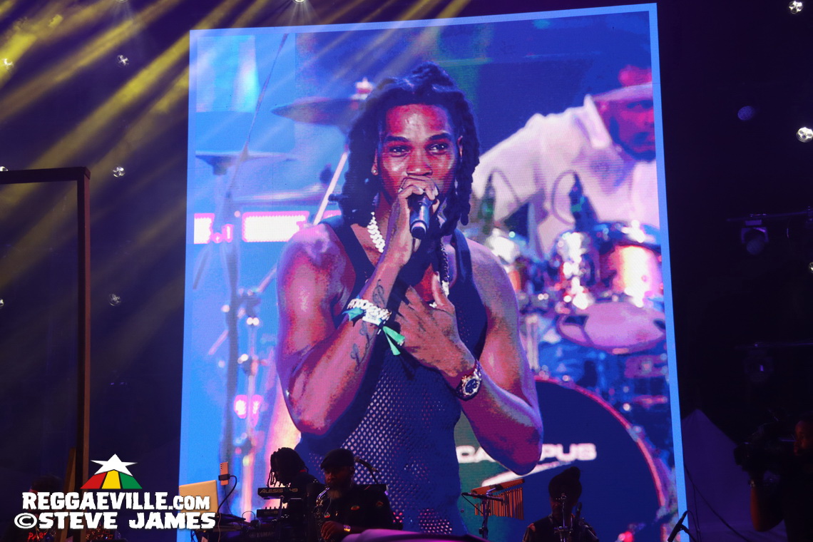 Luciano, Norris Man, D'Yani