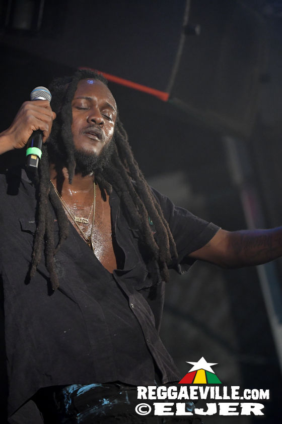 Samory I, Mortimer & Tippy I-Grade