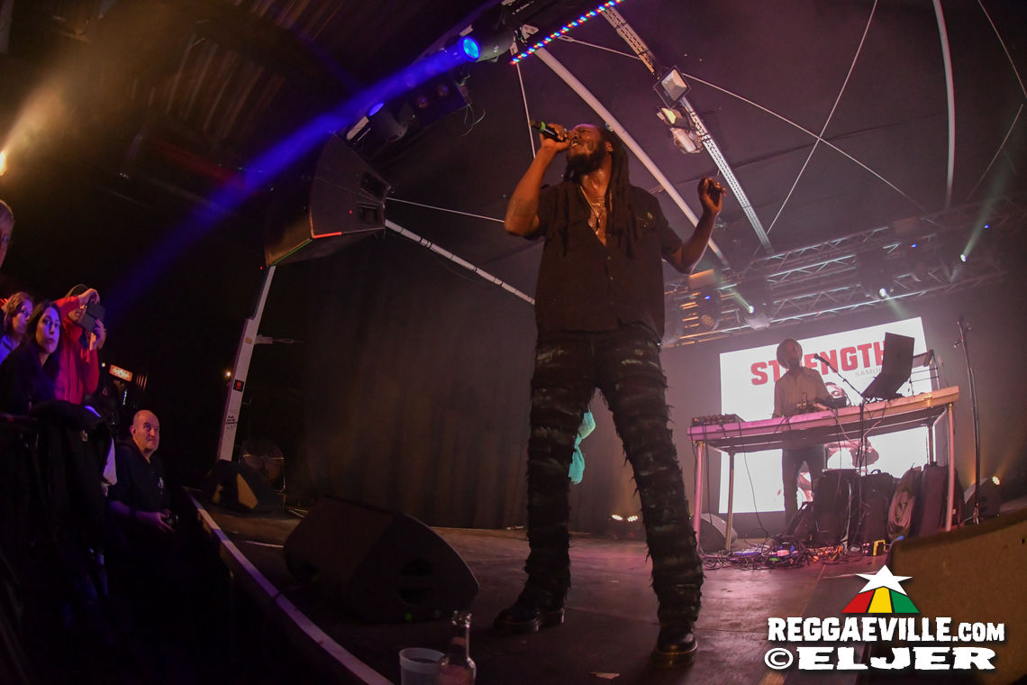 Samory I, Mortimer & Tippy I-Grade