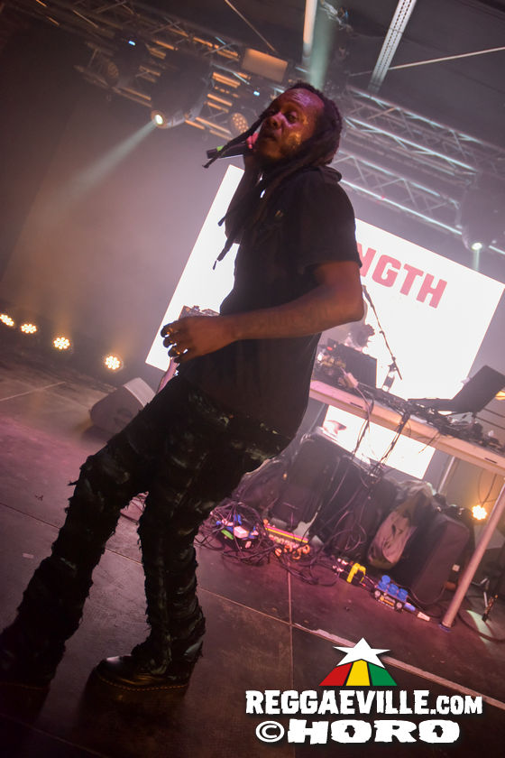 Samory I, Mortimer & Tippy I-Grade