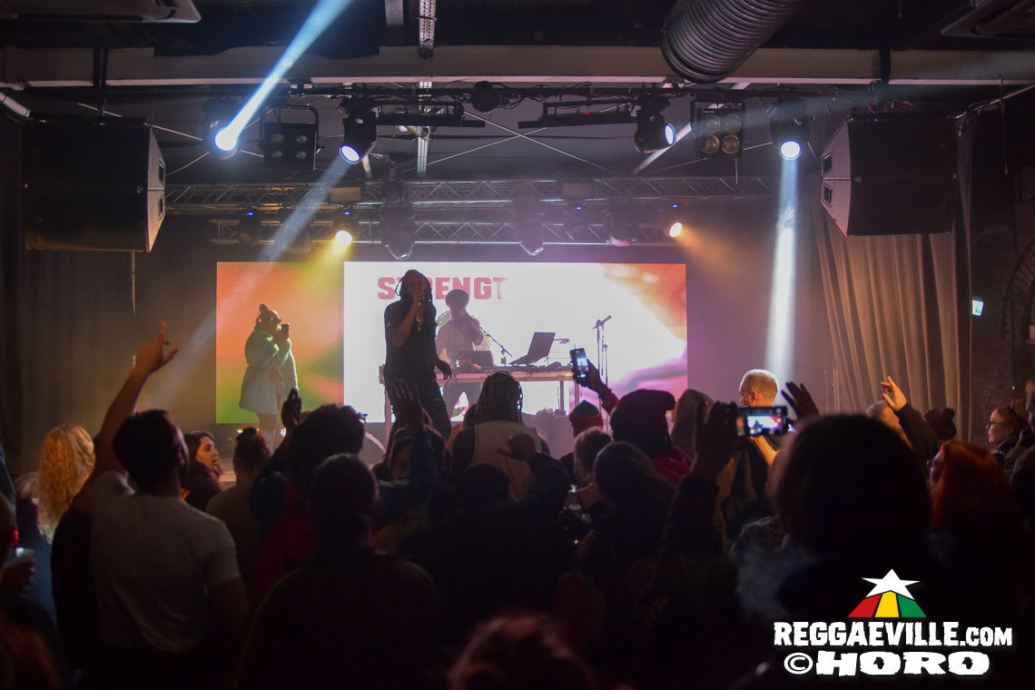 Samory I, Mortimer & Tippy I-Grade