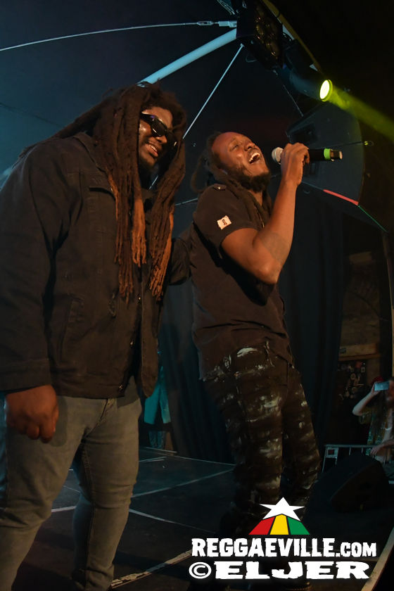 Samory I, Mortimer & Tippy I-Grade